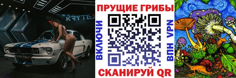 Псилоцибиновые грибы Cubensis  где купить наркотик  Солигалич 